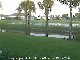 Webcam Rotonda West - GatorCam